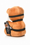 Ours en peluche en tenue Bondage Ours en peluche en tenue Bondage